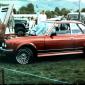crop-3-19-2010_12-56-13_010