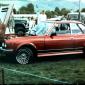 crop-3-19-2010_12-56-13_010
