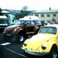 3-19-2010_13-21-6_043