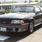 crop-17.06.1992_014__large_