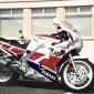 crop-17.06.1992_083__large_