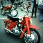 crop-3-19-2010_13-19-54_041