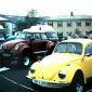 crop-3-19-2010_13-21-6_043