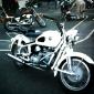 crop-3-19-2010_13-19-25_040