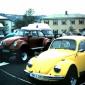 crop-3-19-2010_13-21-6_043