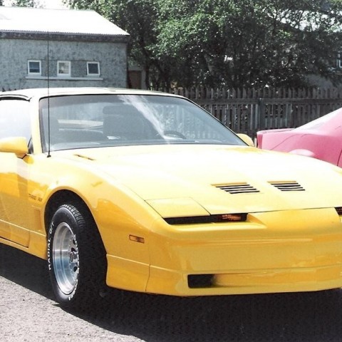 crop-17.06.1992_020__large_