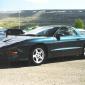 crop-s_ning_1998_021__large_