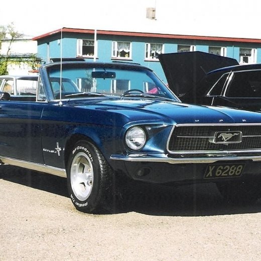 crop-s_ning_1998_027__large_