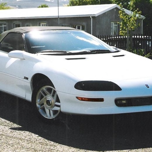 crop-s_ning_1998_032__large_