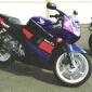 crop-s_ning_1998_042__large_