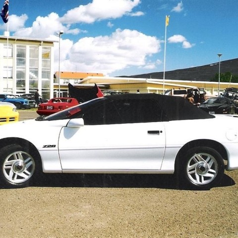 crop-s_ning_1998_019__large_
