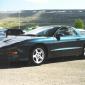 crop-s_ning_1998_021__large_