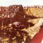 1978_vesteinn_026