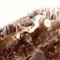 crop-1978_vesteinn_015