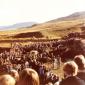 1978_vesteinn_032
