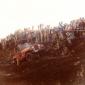 crop-akureyri_1978