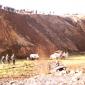 torf_ra_1979_001