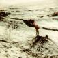 akureyri_ii_1981_010