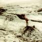 akureyri_ii_1981_010