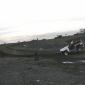 ak_v_steinn_012