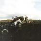 akureyri_1987_ba_2_004__large_