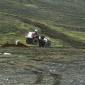 crop-akureyri_1987_ba_6_018__large_