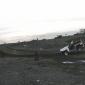 ak_v_steinn_012