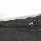 ak_v_steinn_012