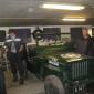 crop-fornbilakvold_2003_023