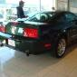mustang_syning