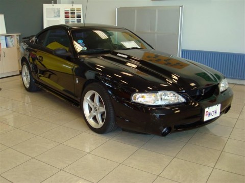 17.04.2010_333__medium_