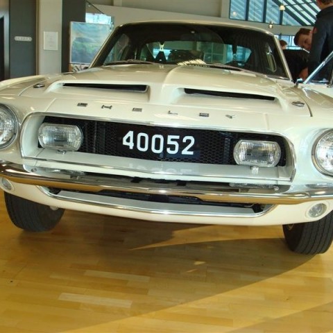 crop-17.04.2010_272__medium_