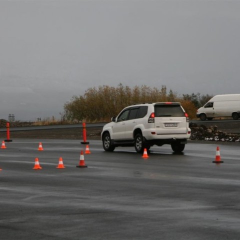 crop-12.10.2011_006__large_
