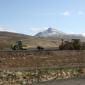 25.05.2012_001__large_