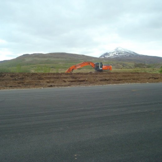 crop-08.06.2012_017