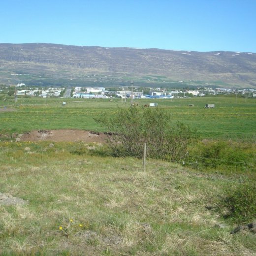 crop-09.06.2012_011