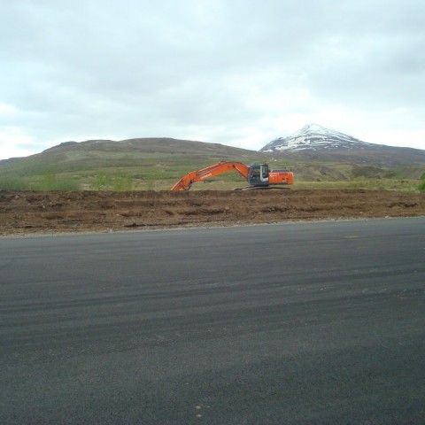 crop-08.06.2012_017