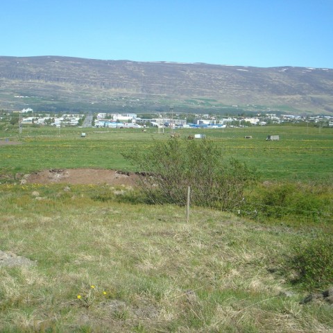 crop-09.06.2012_011