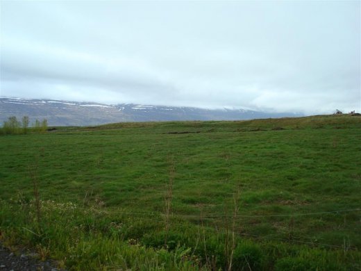 13.06.2011_018__large_