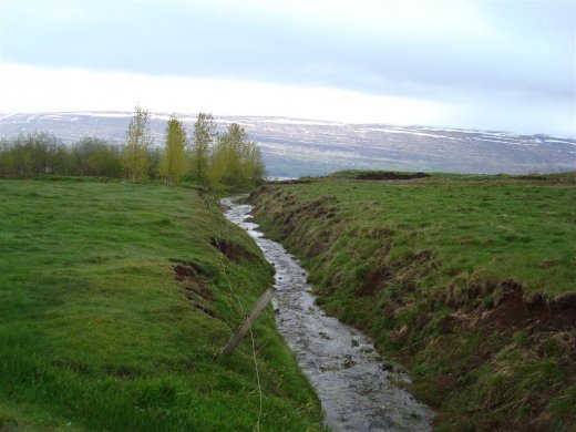 13.06.2011_019__large_