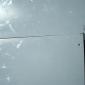 14.07.2011_012__large_
