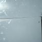 14.07.2011_012__large_