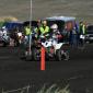 crop-img_3773__large_