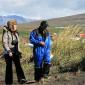 crop-img_3804__large_