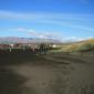 crop-img_4024__large_