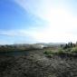 crop-img_4132__large_