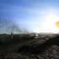 crop-img_4161__large_