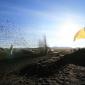 crop-img_4162__large_