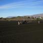 crop-img_3988__large_