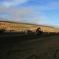 crop-img_5208__large_